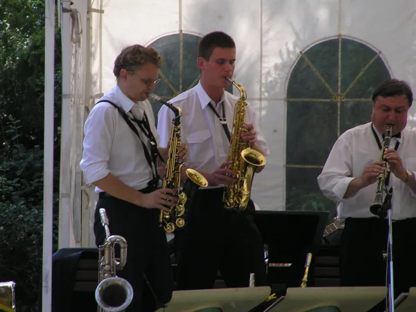Lázně Bohdaneč 2005